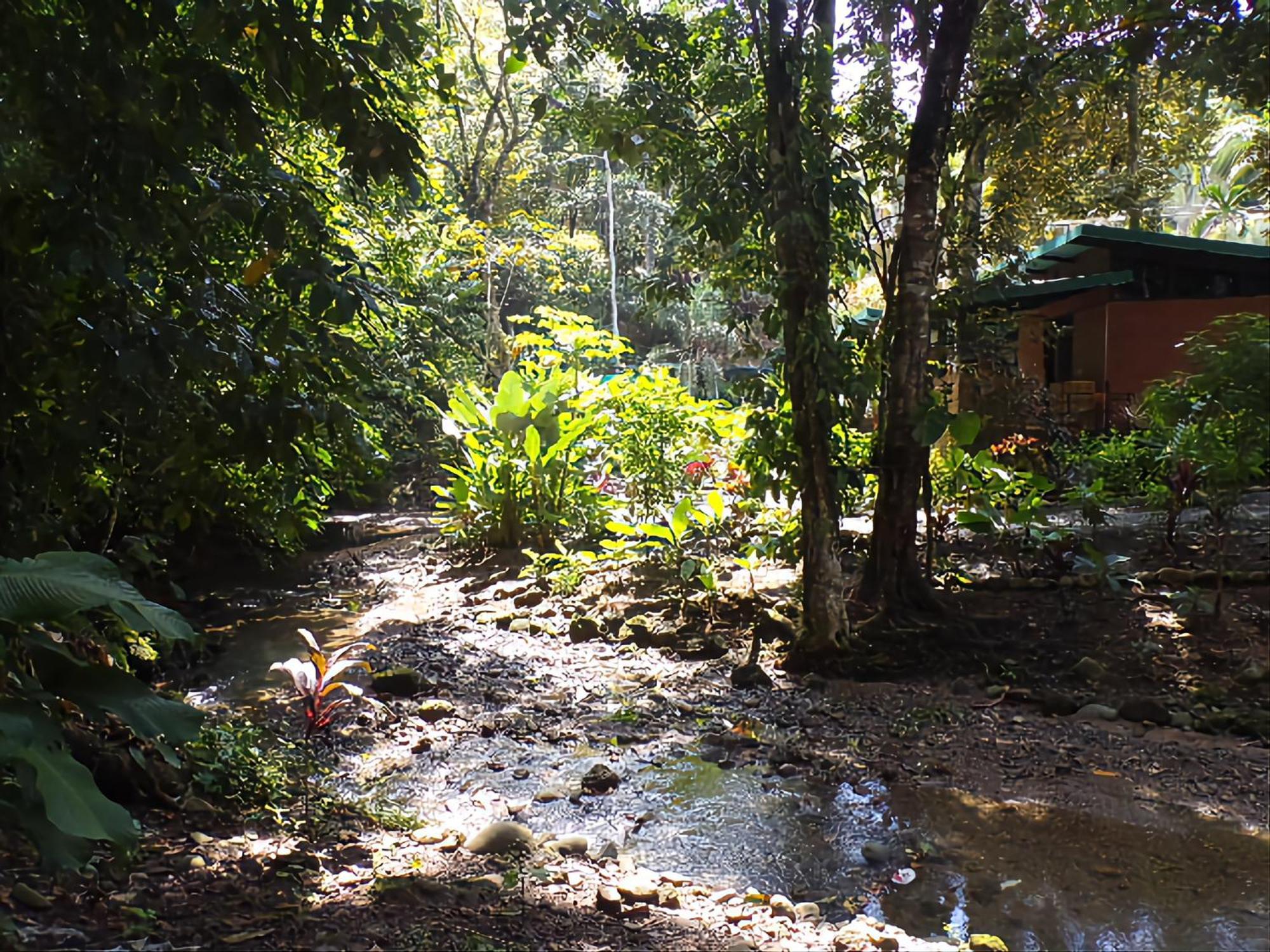 Riverside Villas Manuel Antonio Exteriér fotografie