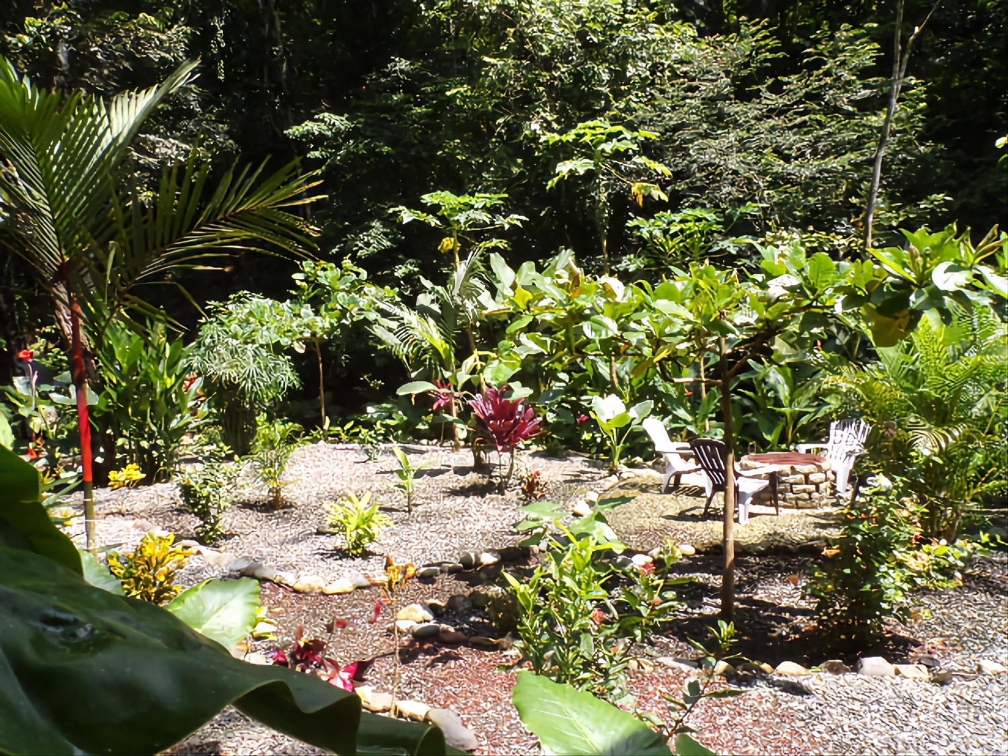 Riverside Villas Manuel Antonio Exteriér fotografie